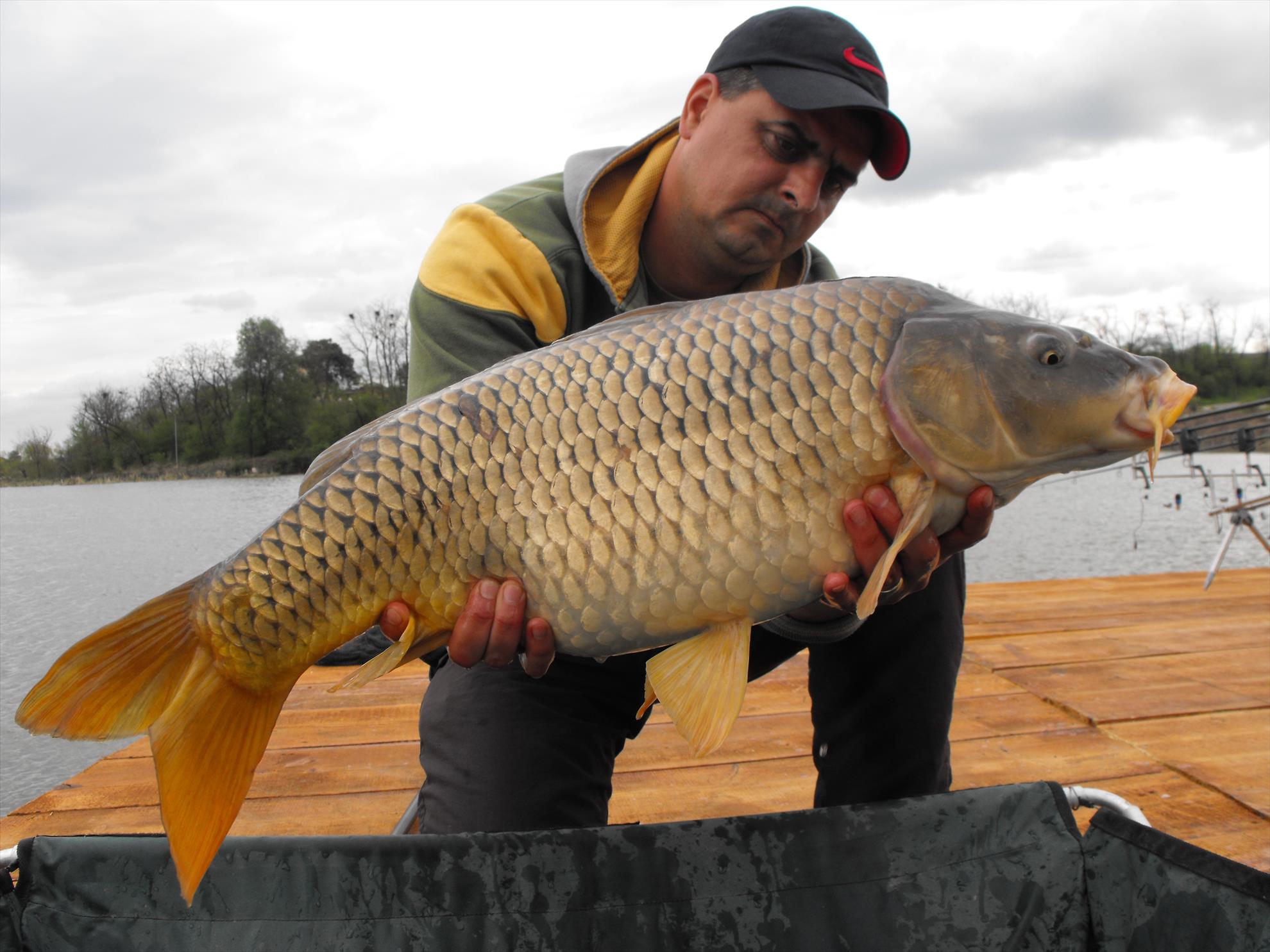 Hermes Peris 17 - 18 aprilie 2015 - dscf1040.JPG